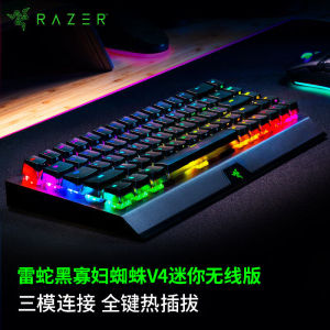 Razer/雷蛇黑寡妇蜘蛛V4迷你无线三模热插拔游戏电竞便携机械键盘