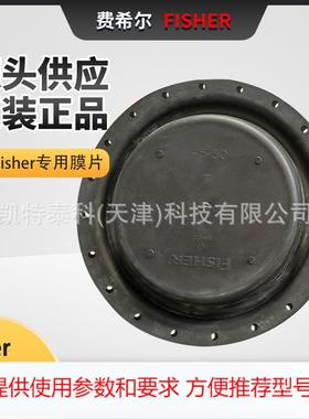 费希尔657执行机构膜片657-4/40 Sies 4&40 2E670002202