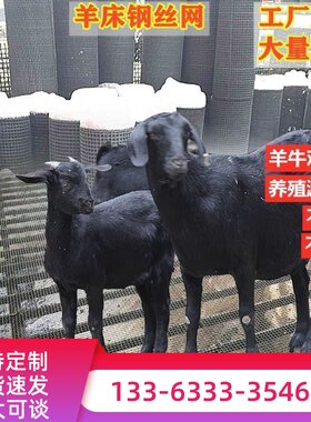 羊床钢丝网鸡鸭鹅漏粪铁网养羊养猪用的钢网铁丝网热镀锌编织筛网