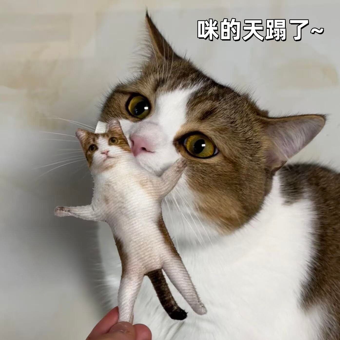 猫咪老鼠干定制挂件趣味搞怪乳鼠干送闺蜜带骨架宠物钥匙扣小礼物