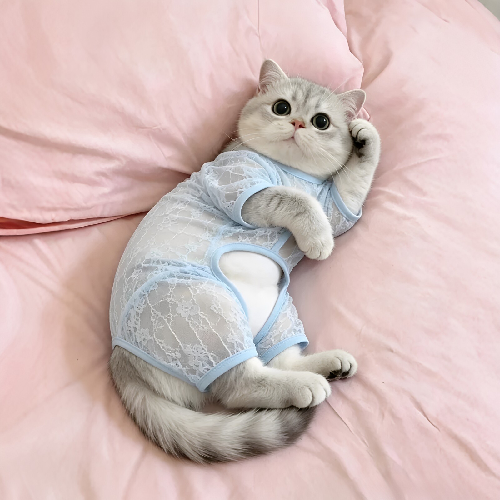 猫咪衣服防掉毛薄款网纱镂空睡衣降温四脚衣凉凉衣中小型犬家居服