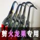 广西火龙果阎芽剪枝条剪芽刺专用剪刀角剪勾剪火龙果火龙果修枝剪