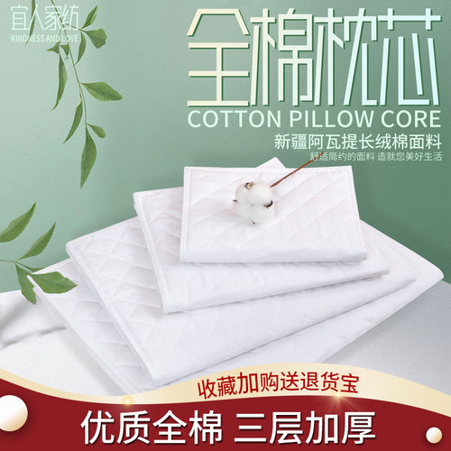 纯棉加厚双层双拉链荞麦壳枕芯套