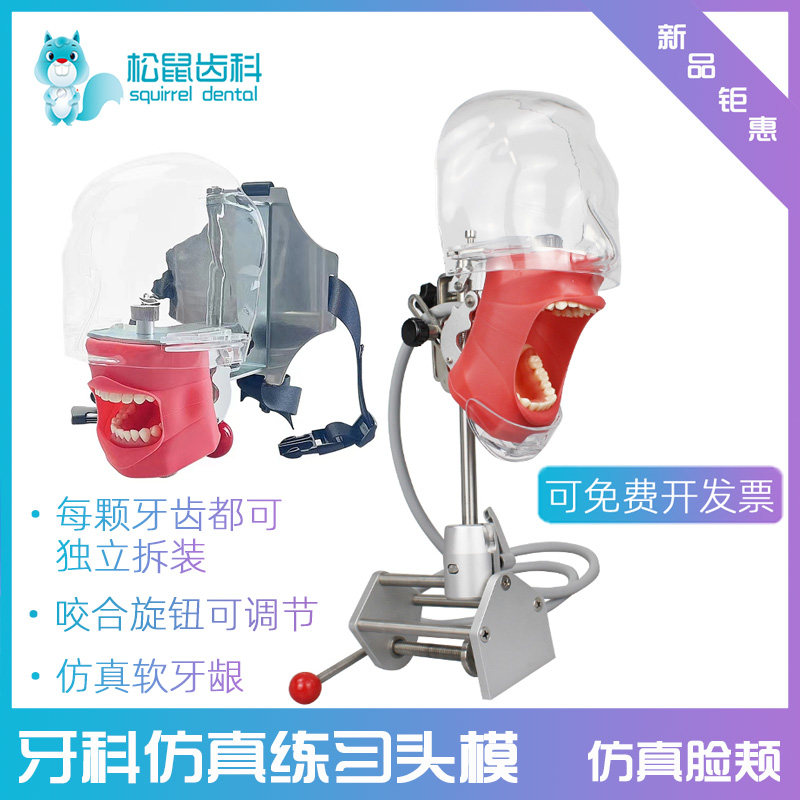 牙科练习头模可拆教学备牙树脂牙根管牙离体牙模简易口腔仿真头模