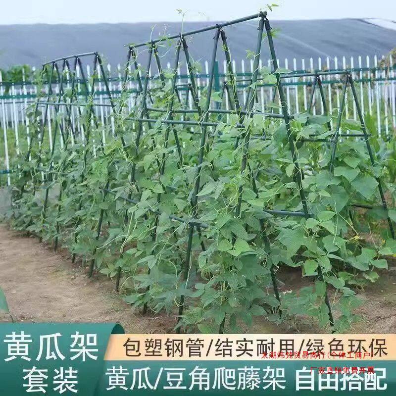 豆角搭架架豆角三角架爬藤网花架爬藤葡萄架丝瓜攀爬架黄瓜杆家用