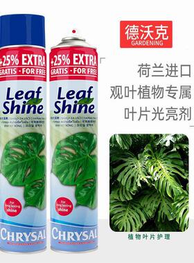 荷兰进口可利鲜鲜亮剂光亮剂亮叶剂除尘剂绿植叶片鲜亮进口亮叶剂