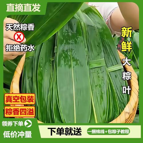 粽叶新鲜粽子叶专用大号真空包装