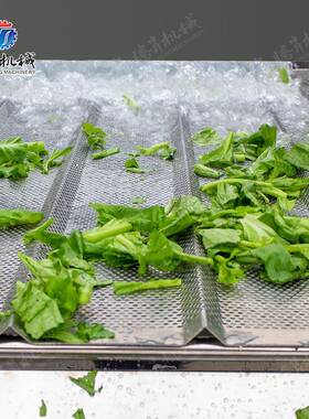 供QKS应涡 流流洗式高压气泡清洗水线水果蔬菜清设备