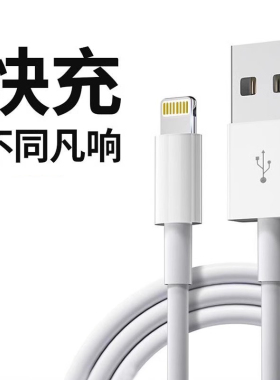 适用于苹果14数据线iPhone11快充6s手机充电线8plus加长2米7P充电器12pro闪充13短ipad冲电xr平板max单头6s线