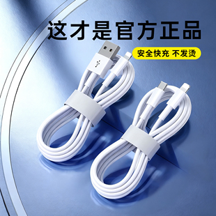 帕米诗适用iPhone14数据线15promax苹果16充电线pd闪充13手机平板17车载ipad器11正品 2米 12单头8原7plus装