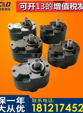 CB-B10/B6/B4/B16/B25/B32/B40/B50/B63/B80/B100/B125钢齿轮油泵