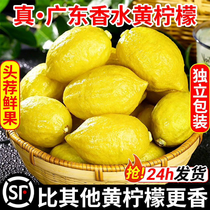 广东香水柠檬黄果新鲜水果一级果当季黄柠檬奶茶店整箱非安岳柠檬