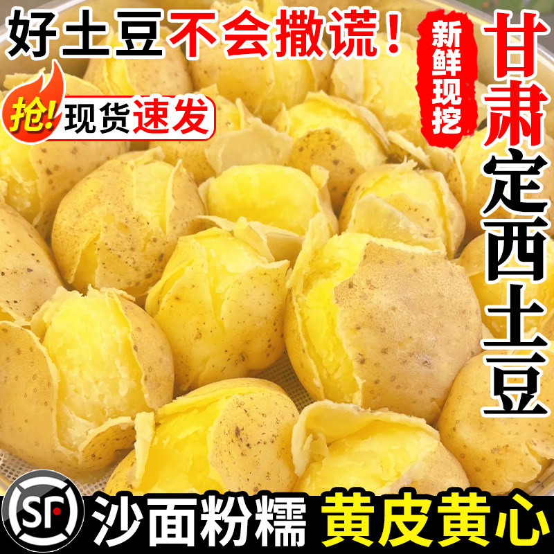 正宗甘肃定西土豆黄心马铃薯洋芋沙面高山旱沙地种植黄金薯10斤装