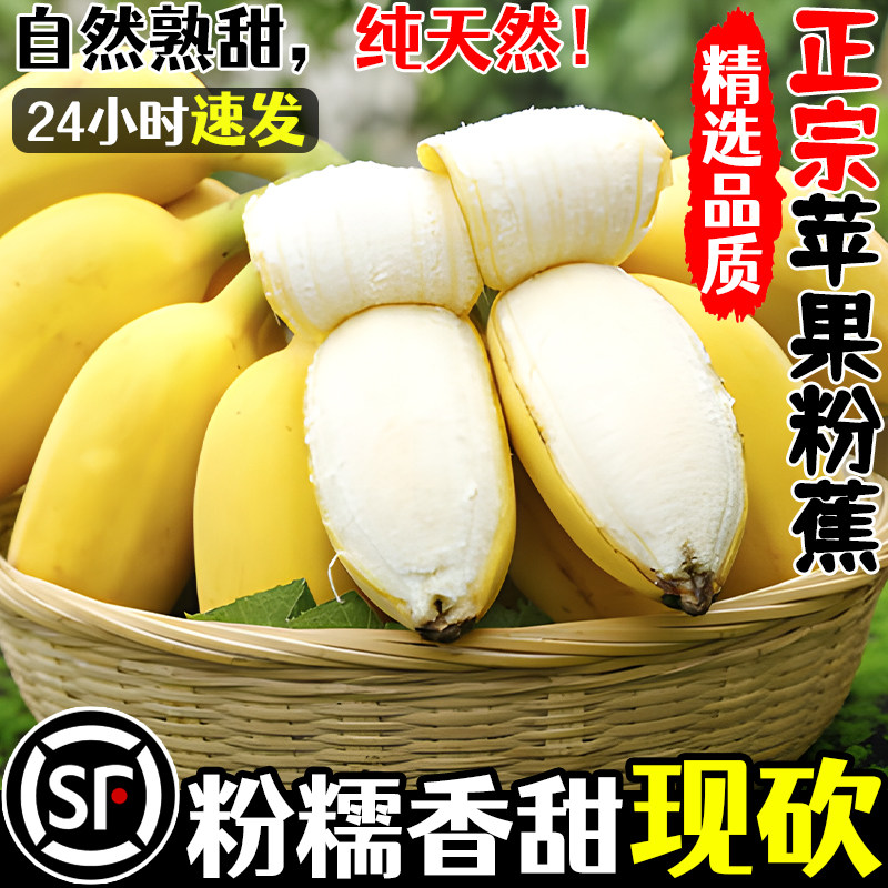 正宗苹果蕉香蕉新鲜自然熟10斤水果广东粉蕉广西小米皇帝芭焦水果