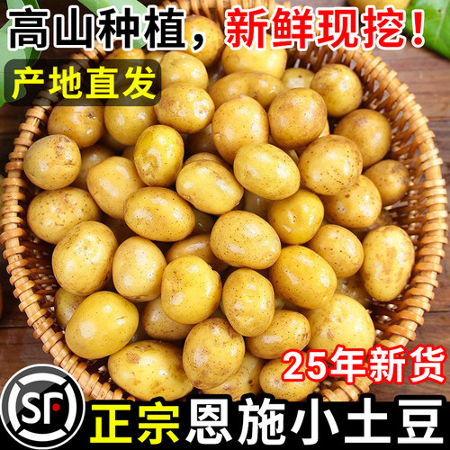 顺丰！高山恩施小土豆10斤！