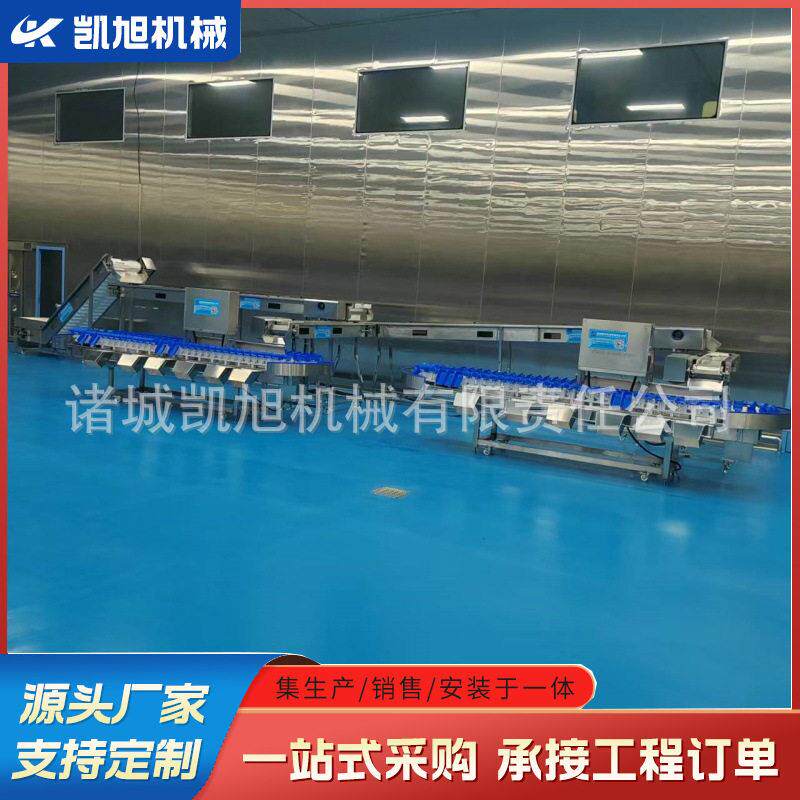 全自动鸡爪鸡副产品分选机流水线 巴沙鱼鳕鱼重量分类机器 凯旭
