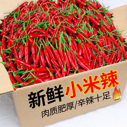 新鲜红辣椒 小米椒泰椒特辣朝天椒5小米辣 自种辣椒现摘包邮