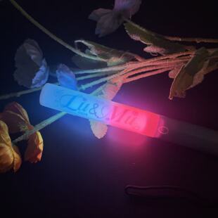 [橹穆]王橹杰&穆祉丞印花拼色魔改棒定制音乐演唱会应援打call棒