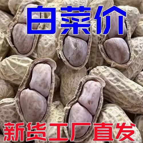 龙岩花生带壳蒜香咸干五香原味盐水白晒水煮花生米熟炒货零食