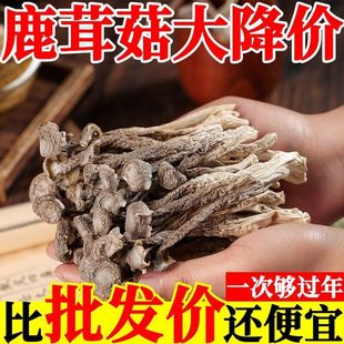 鹿茸菇干货农家新鲜鹿茸菌500g干货云南特产煲汤食材脆脆菇香菇
