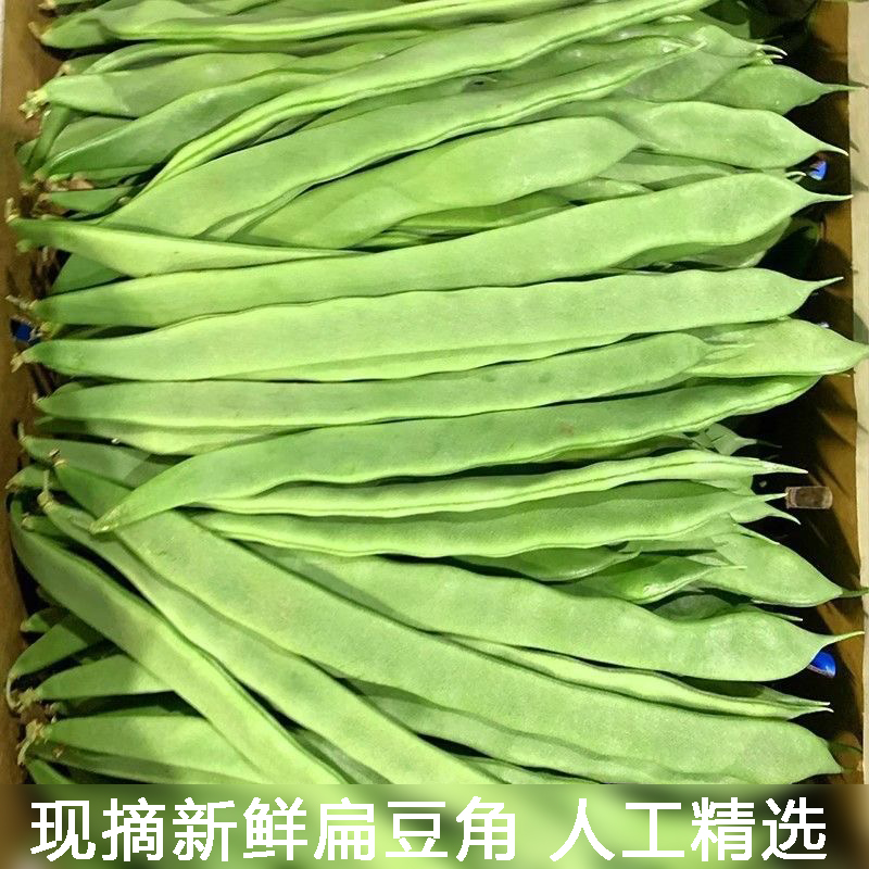 优质露天芸豆豆角农户自种青扁豆新鲜刀豆应季蔬菜扁豌豆下单现摘