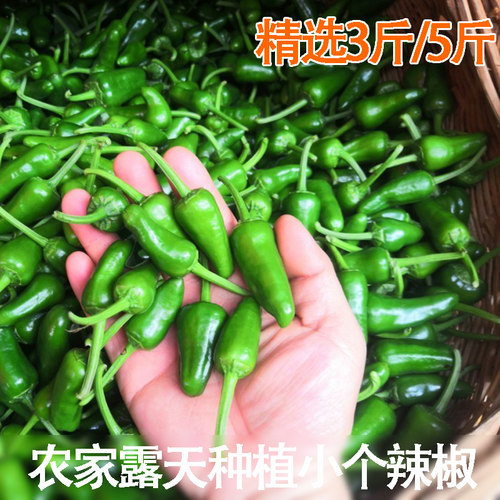 农家自种子弹头小辣椒小个土辣椒