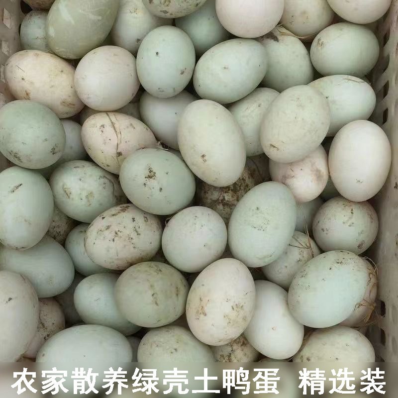 正宗农村自养土鸭蛋新鲜发货