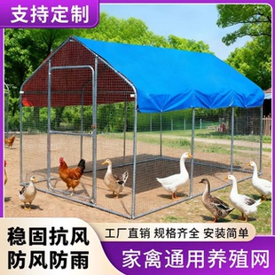 户外养鸡棚鸡舍搭建遮风挡雨加密饲养家禽养殖新款鸡笼围栏网棚架
