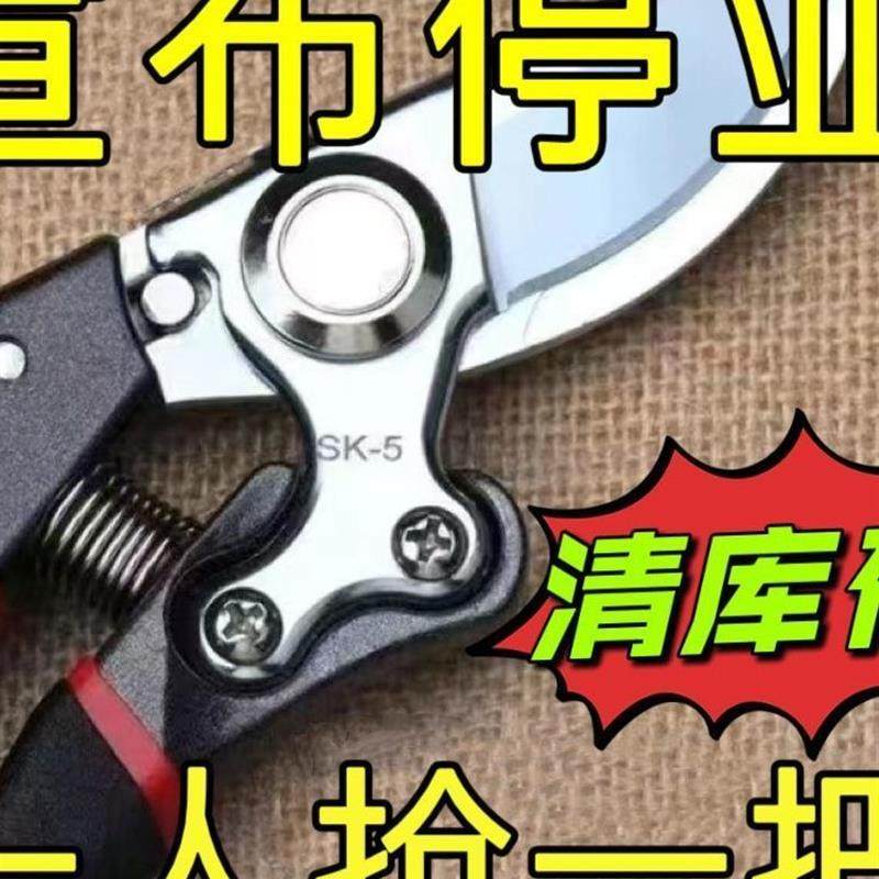 德国工艺钢剪树剪子果树剪修枝剪刀家用花木葡萄修剪镐斧剪子大全,鲜花速递/花卉仿真/绿植园艺,洒水/浇水壶,淘宝优惠券,粉丝福利购,淘宝优惠卷