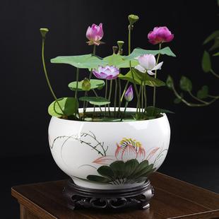 家用水仙花盆陶瓷无孔碗莲金钱草水养植物容器水培铜钱草专用花盆