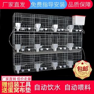 鴿子籠家用鴿子籠子專用養殖籠 12位種16位肉鴿繁殖配對信鴿籠 包郵