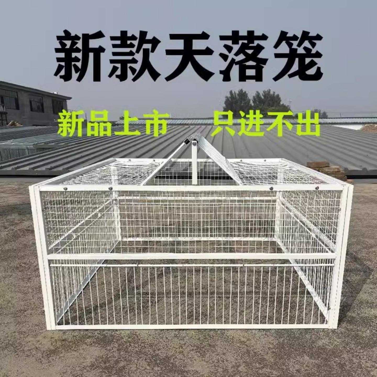 鸽子抓捕器天落笼家用屋顶厂房