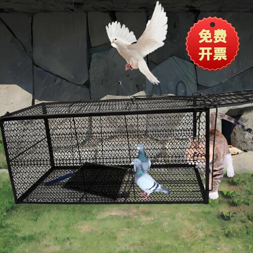 【】新款捕猫笼爱心救助笼鸽子