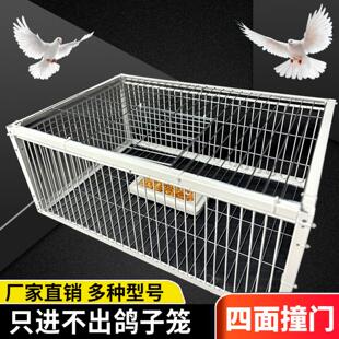 捕捉器鸟笼室外天落连续只进不出鸽子加密四面撞门活络全自动结实