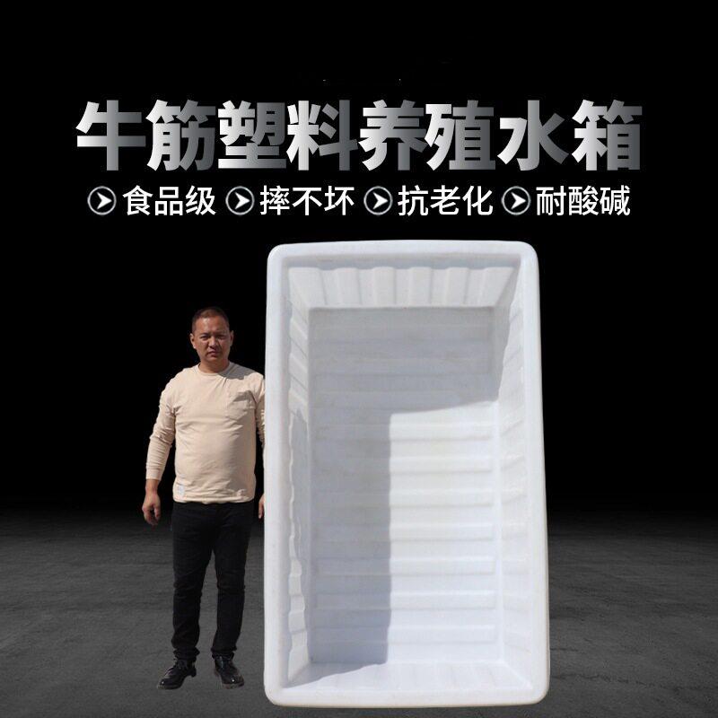 塑料浅盆大水箱pe牛筋方箱水产养殖箱耐酸养鱼箱养虾苗盆储水桶图片