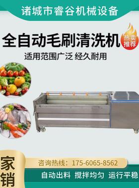 全自动去鱼鳞机鲤鱼清洗机304鲢鱼不锈钢商用洗鱼机现货发