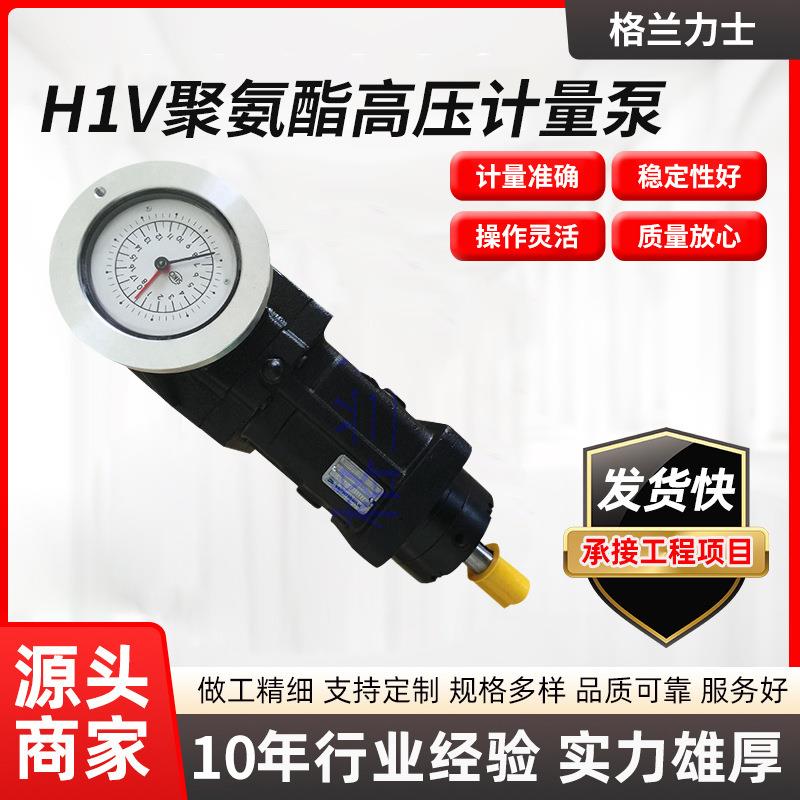 厂家供应聚氨酯计量泵H1V/PV30CDX高压发泡料泵萨姆Sam计量泵