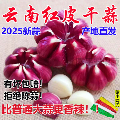 云南紫皮大蒜新干蒜红蒜香蒜