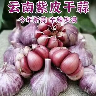 2025年新紫皮大蒜干大蒜批发云南蒜头多瓣香蒜红皮香辣新大蒜种子