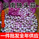 云南紫皮大蒜新鲜独头蒜干蒜2025新蒜大蒜头独蒜红皮批发 推荐