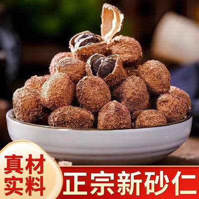 砂仁中药材正品中药材官方旗舰店正宗香料阳春沙仁果香砂根煲汤