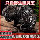 黑灵芝野生长白山500克灵芝切片林芝干货整朵正品 泡酒灵芝养生茶