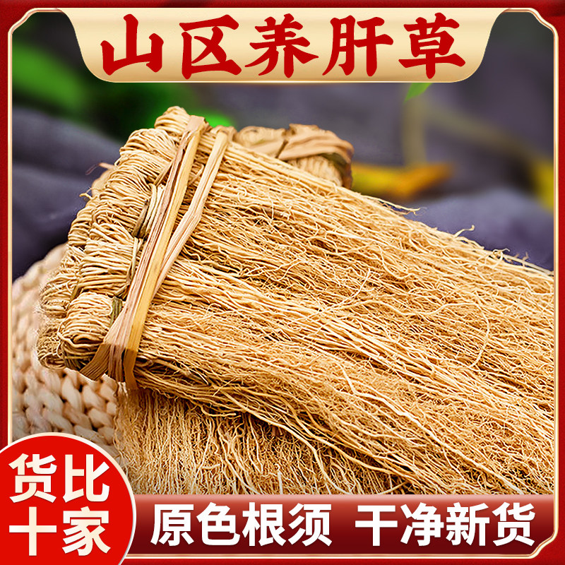 养肝草煲汤材料粤北山区特产护肝草丝线根龙须草茶汤料养干金草
