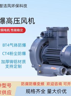 FB-022防爆漩涡高压鼓风机沼气池加压发酵废料油气抽排FB-055