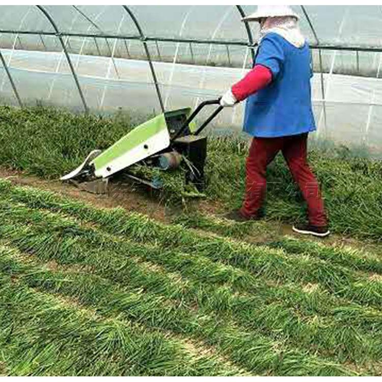 扶式小型韭菜收割收机自走式手MBT用农辣椒获机DO-1大棚放倒器