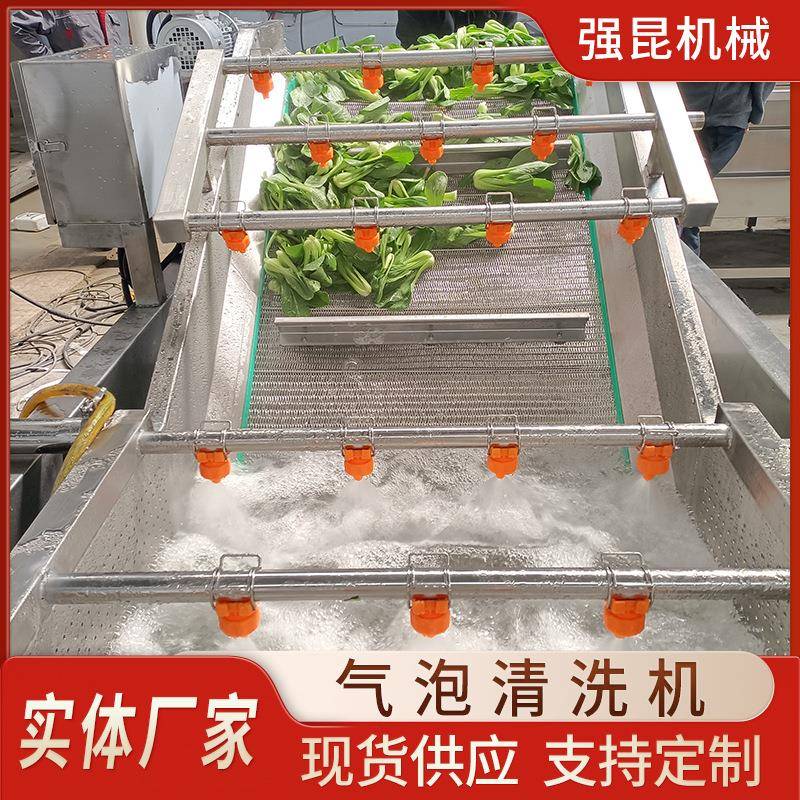 红枣高压喷淋清洗线青梅杨梅清洗风干线中药材材气泡清洗机