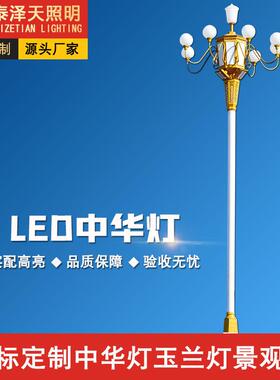 户外LED6米8米园林景观灯民族风文化广场路灯市政大型12米中华灯