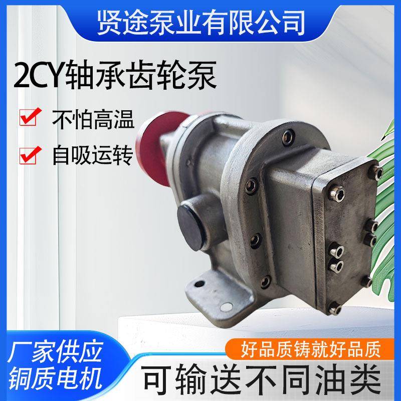 2CY不锈钢轴承齿轮泵重油泵电动压力泵2CY齿轮式电动输油泵卧式