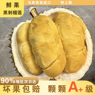 黑刺[鲜果]三A级黑刺榴莲D200马来西亚树上熟当季新果顺丰包邮