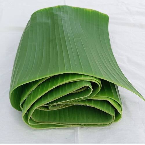 糕点天然野生摆盘新鲜芭蕉叶